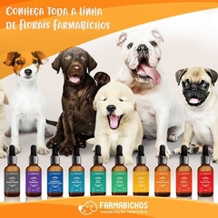 Banner da categoria Florais Farmabichos