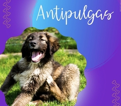 Banner da categoria Linha Antipulgas