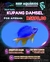 Kupang Damsel