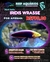Iridis Wrasse