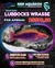 Lubbocks Wrasse