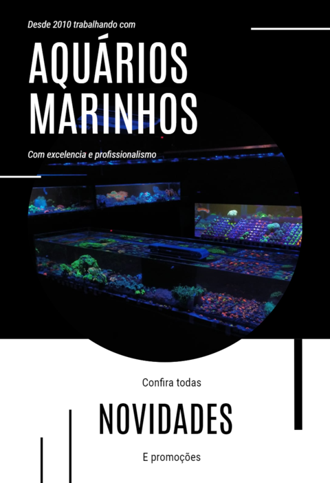 Carrossel 1