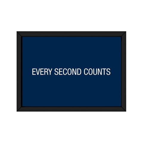 Quadro - The Bear - Every Secound Counts