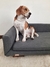 CAMA PARA MASCOTAS