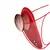 Vibrador de Calcinha App- Vermelho - Misteriosa Íntimos -Sex shop em Uberlândia