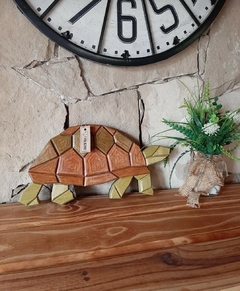 Tortuga caminando