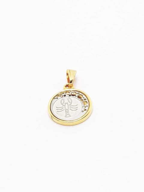 Dijes con signo del zodiaco laminados en oro 18k- Romminox