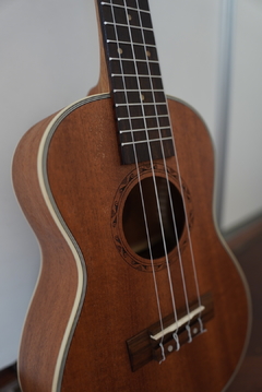 Ukelele BAMBOO concierto con funda - NORWAY