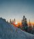 Carrusel NORWAY