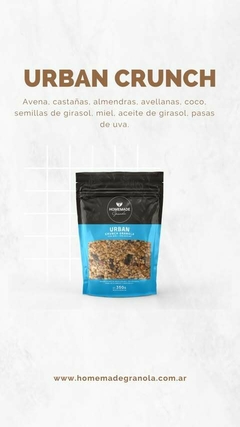 Granola Artesanal 350 gs ( HOMEMADE) - comprar online
