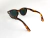 Solar Ray Ban 0Rb2241 954/5854 na internet