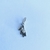 Teddy Bear plata (x1) - comprar online