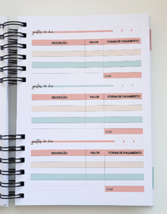 Planner Financeiro Permanente na internet