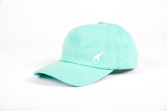 Boné LRG Strapback Acess 47 - 516302