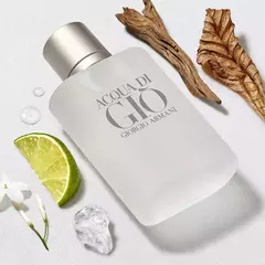 Perfume Acqua Di Giò 100ml - Giorgio Armani - - comprar online