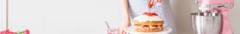 Banner de la categoría Minipimer/Mixers