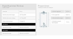 TERMO SEÑORIAL 85LTS MULTIGAS SUP DE PIE Y COLGAR - comprar online