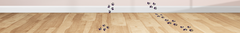 Banner de la categoría ACCESORIOS MASCOTAS