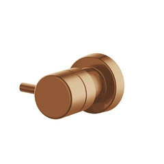 Acabamento Registro Pequeno 3/4 Eva Rose Gold Fani