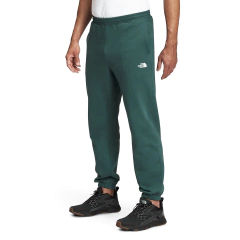 PANTALON DE BUZO THE NORTH FACE
