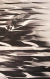 Tapete Hertz