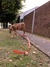 CORREA 1,70 METROS - Paseo Canino