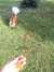 CORREA 10 MTS - Paseo Canino