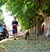 CORREA FINA 3 MTS - Paseo Canino