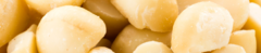 Banner da categoria MACADÂMIA
