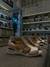 Franciscana beige en internet