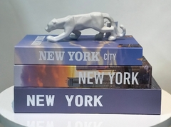 Trio livro fake na internet