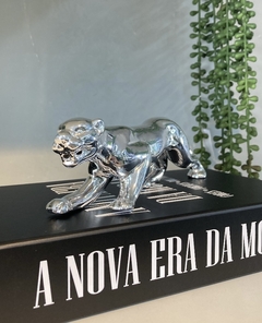 Leopardo caminhando na internet