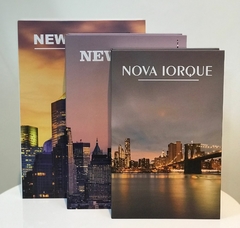 Trio livro fake