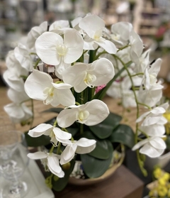 Arranjo orquidea no vaso ekebana