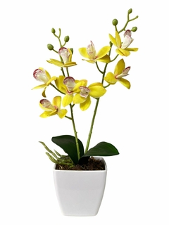 Arranjo orquidea no vaso branco