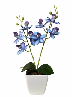 Arranjo orquidea no vaso branco - comprar online