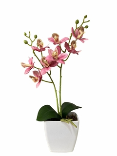 Arranjo orquidea no vaso branco na internet