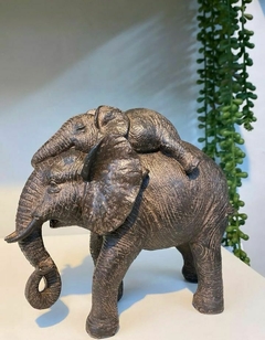 Elefante filhote em cima