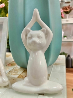 Gato branco - comprar online