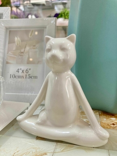 Gato branco na internet