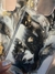 Marble Blend - comprar en línea