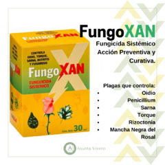 FUNGOXAN FUNGICIDA SISTÉMICO
