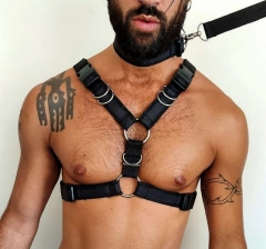 conjunto pet - tienda online