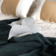 Almohadones de Tussor Crudo con Franja
