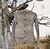 CARDIGAN SUR