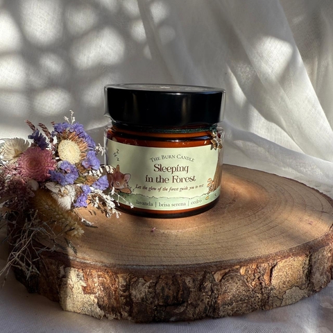* Vela Sleeping in the Forest - The Burn Candle