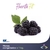 Moras