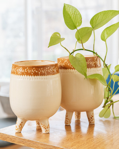 Boterita - comprar online