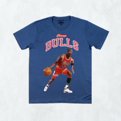 BULLS 23 - comprar online