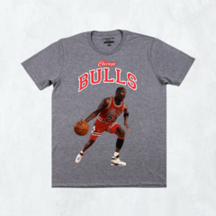 BULLS 23 en internet